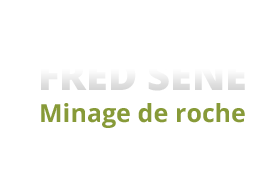 Fred Séné